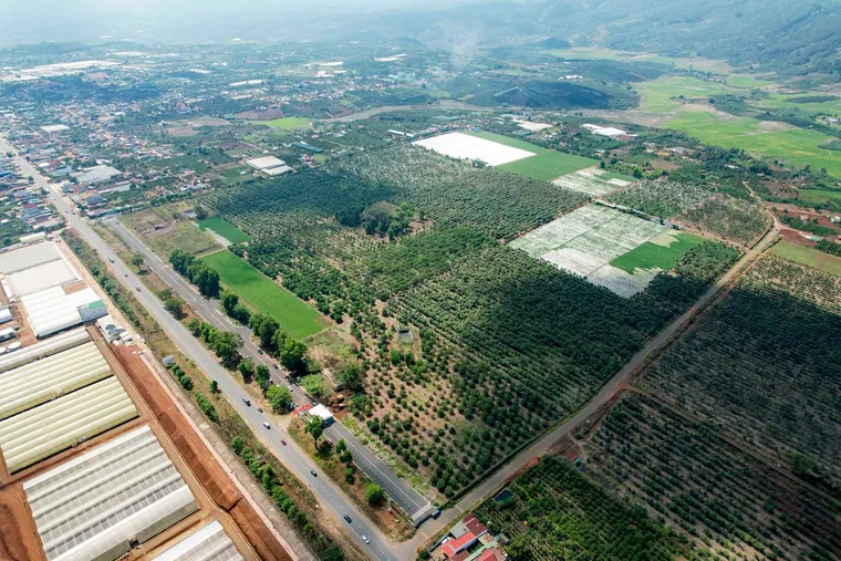 Phối cảnh Eco Grand Land Di Linh 1