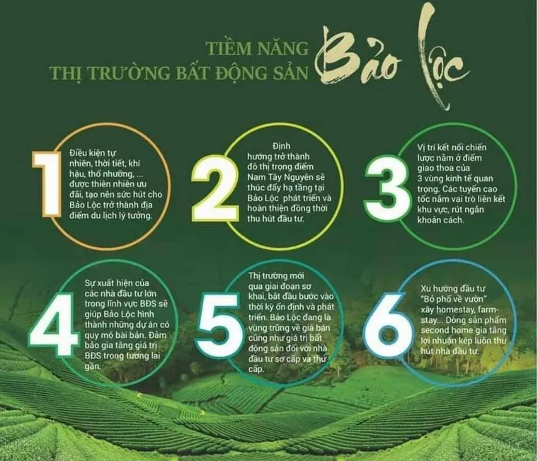 Phối cảnh Nam Phương City Bảo Lộc 5
