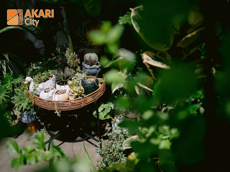 Phối cảnh Akari City (Giai đoạn 2/3) 5